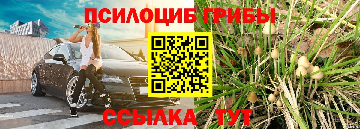 Псилоцибиновые грибы мухоморы  Галлюциногенные грибы мухоморы  Белая Калитва  Вход с VPN 
